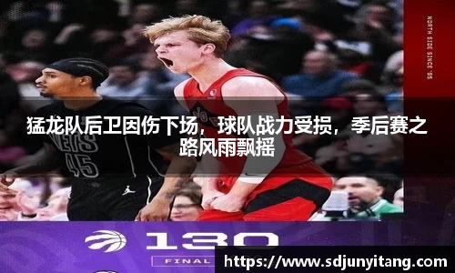 猛龙队后卫因伤下场，球队战力受损，季后赛之路风雨飘摇