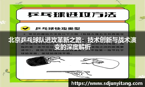 北京乒乓球队进攻革新之路：技术创新与战术演变的深度解析