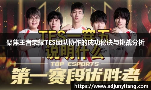 聚焦王者荣耀TES团队协作的成功秘诀与挑战分析