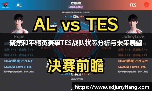 聚焦和平精英赛事TES战队状态分析与未来展望