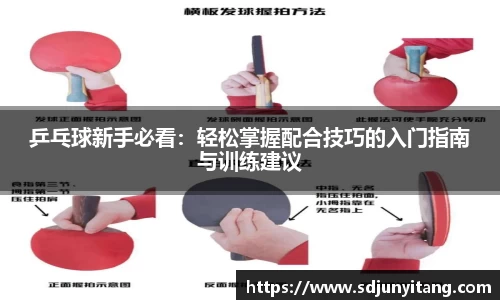 VSport-胜利因您更精彩
