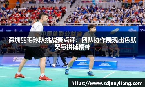 深圳羽毛球队挑战赛点评：团队协作展现出色默契与拼搏精神